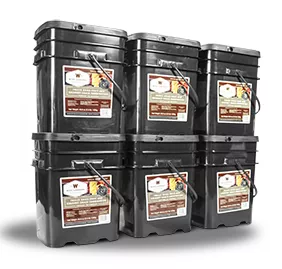 Wise 720 Serving Fruit Bucket Combo