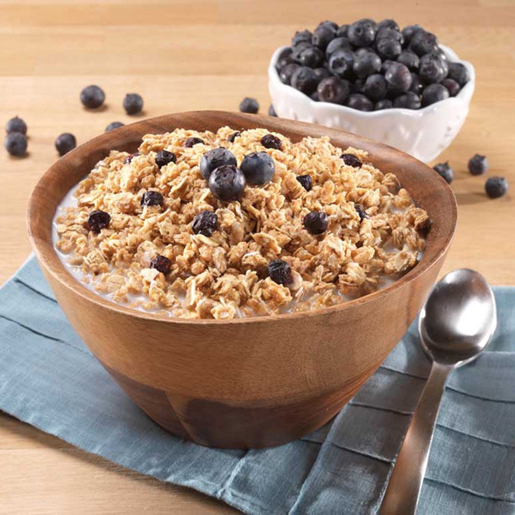 Granola with Milk and Blueberries Pouch - One Serving (Mountain House®)