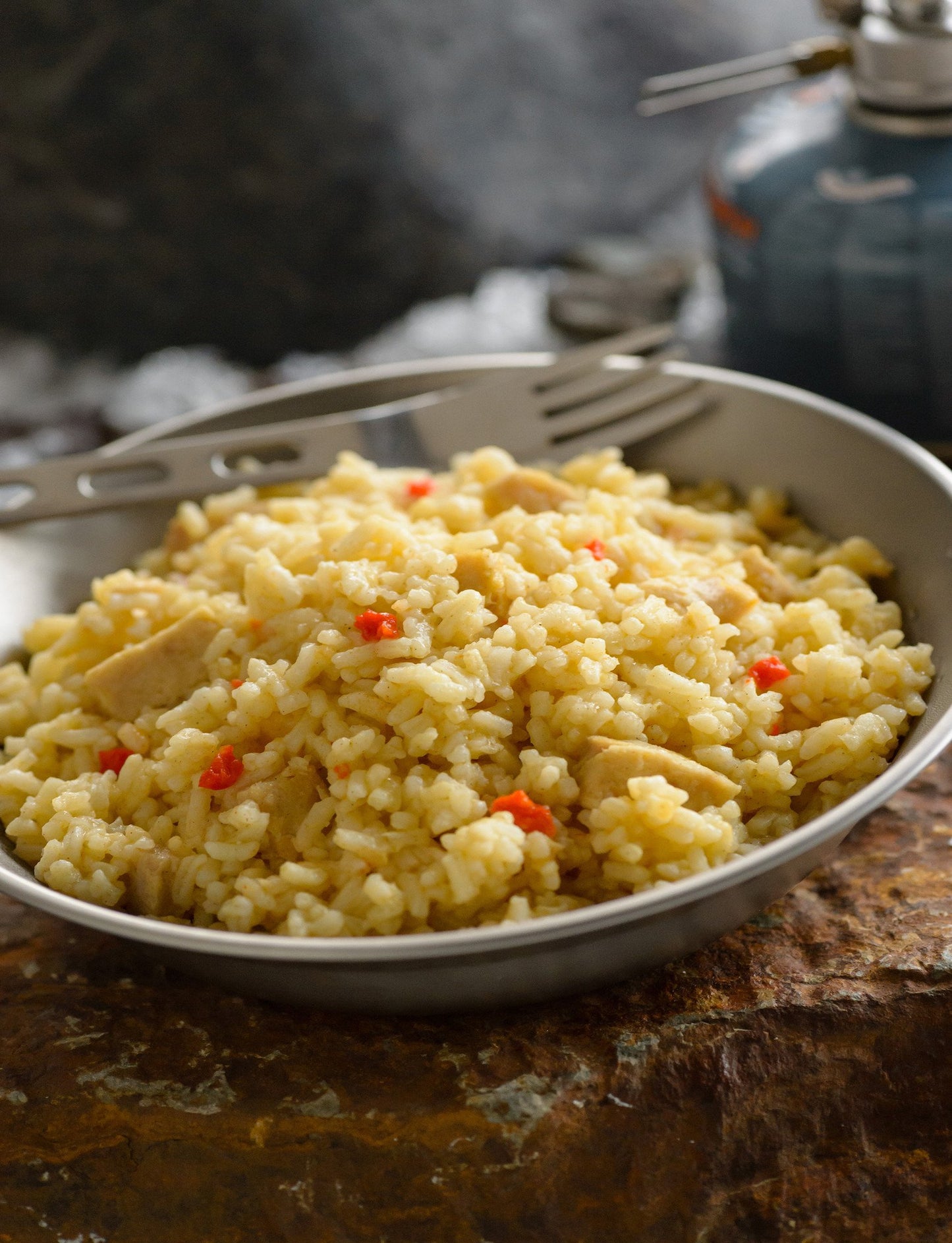 Rice and Chicken #10 Can Package (Mountain House®)